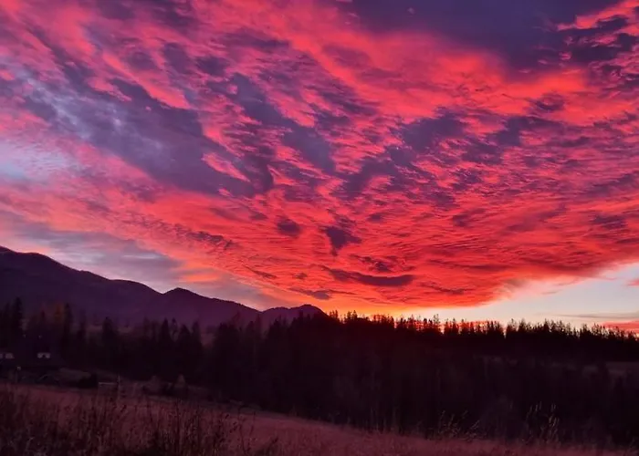 Zubry Z Sauna * Zakopane
